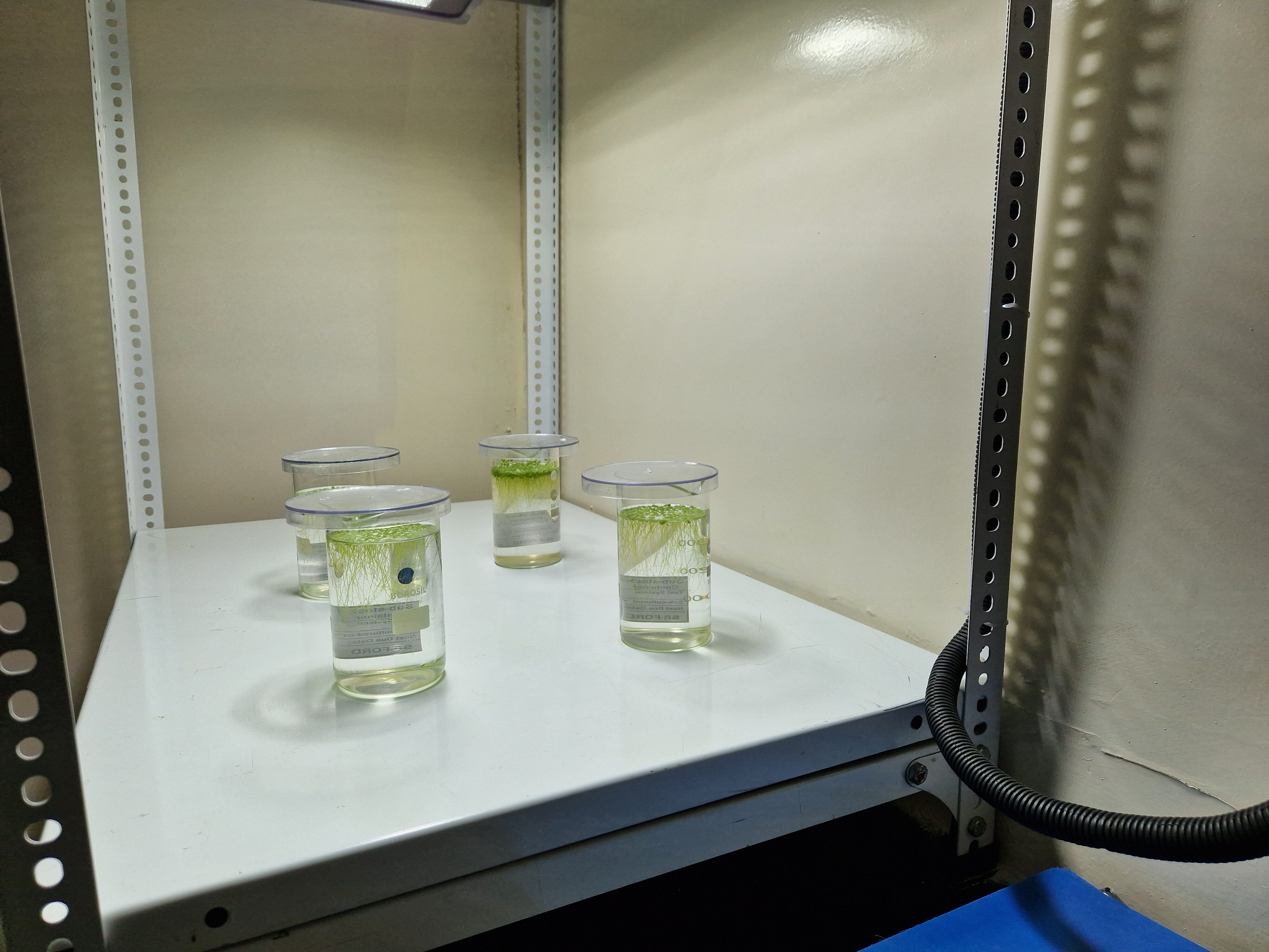 Unsere Zusammenarbeit mit Laborpartnern