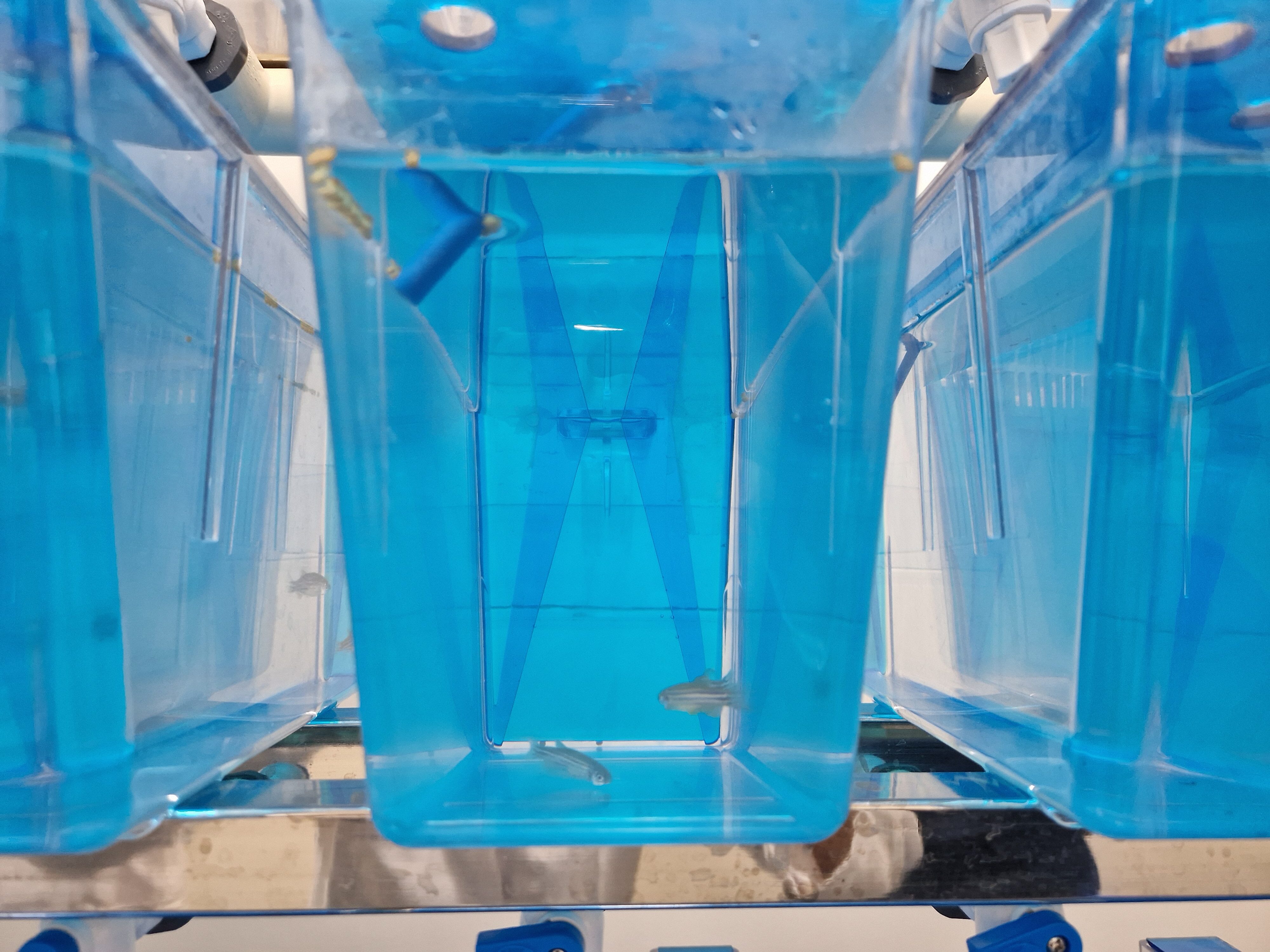 Unsere Zusammenarbeit mit Laborpartnern